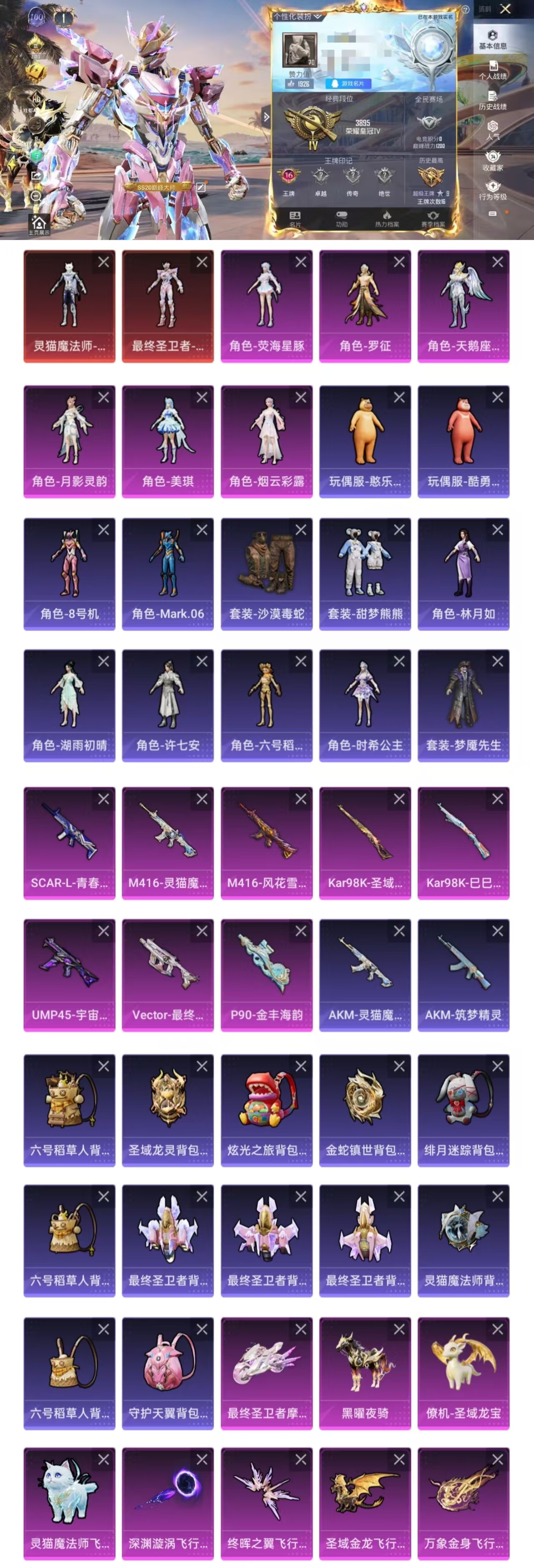 和平精英账号安卓QQDYH17353【2神装3载6粉9特 灵猫魔法师-塞维尔 (2级) 最终圣卫者-帕修斯 (1级) 】