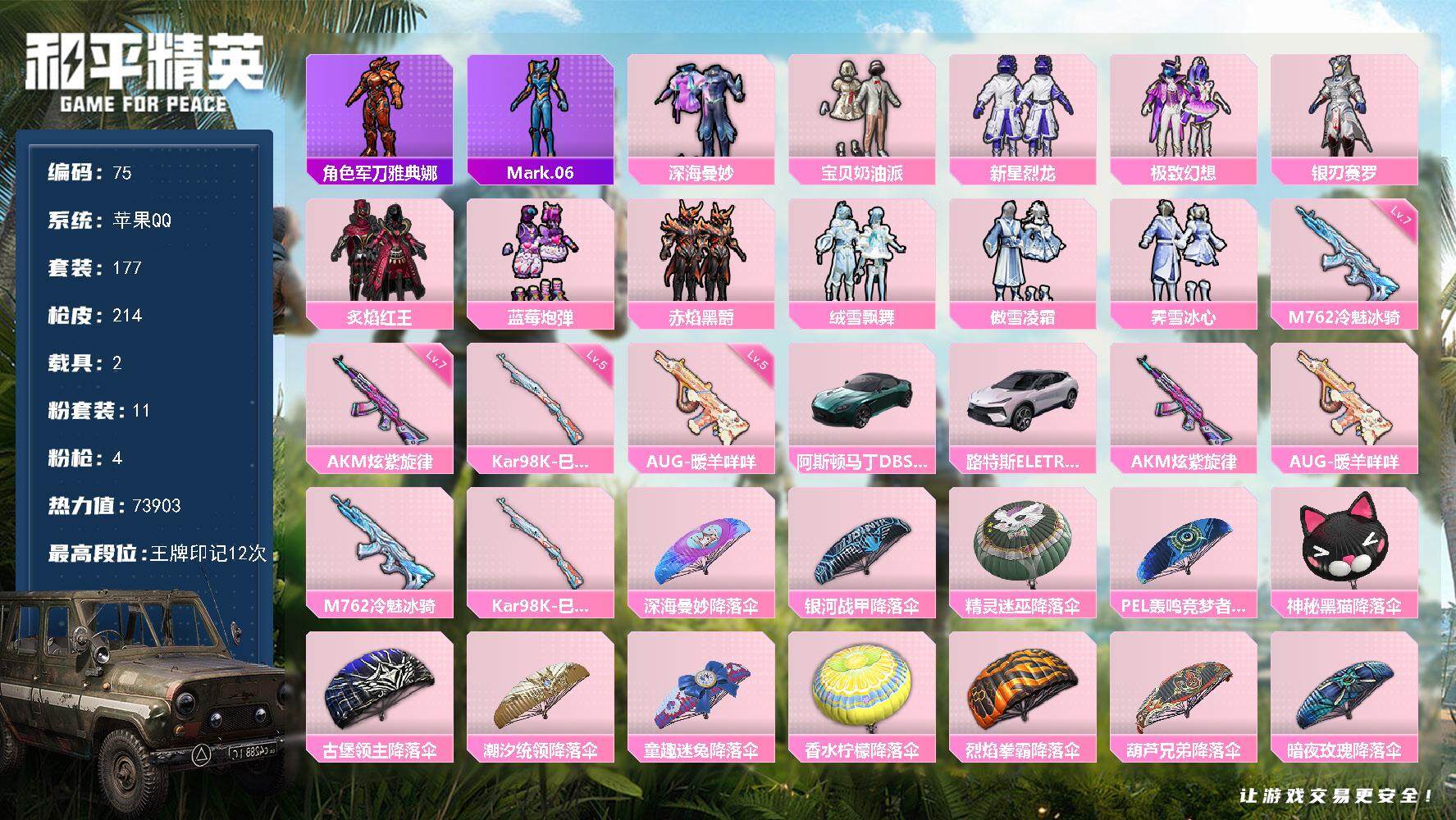 和平精英账号苹果QQ2载具-175套装-214枪皮-XS504【身法号12印记2载具4特效枪11粉装 小白龙 蓝色螳螂 
