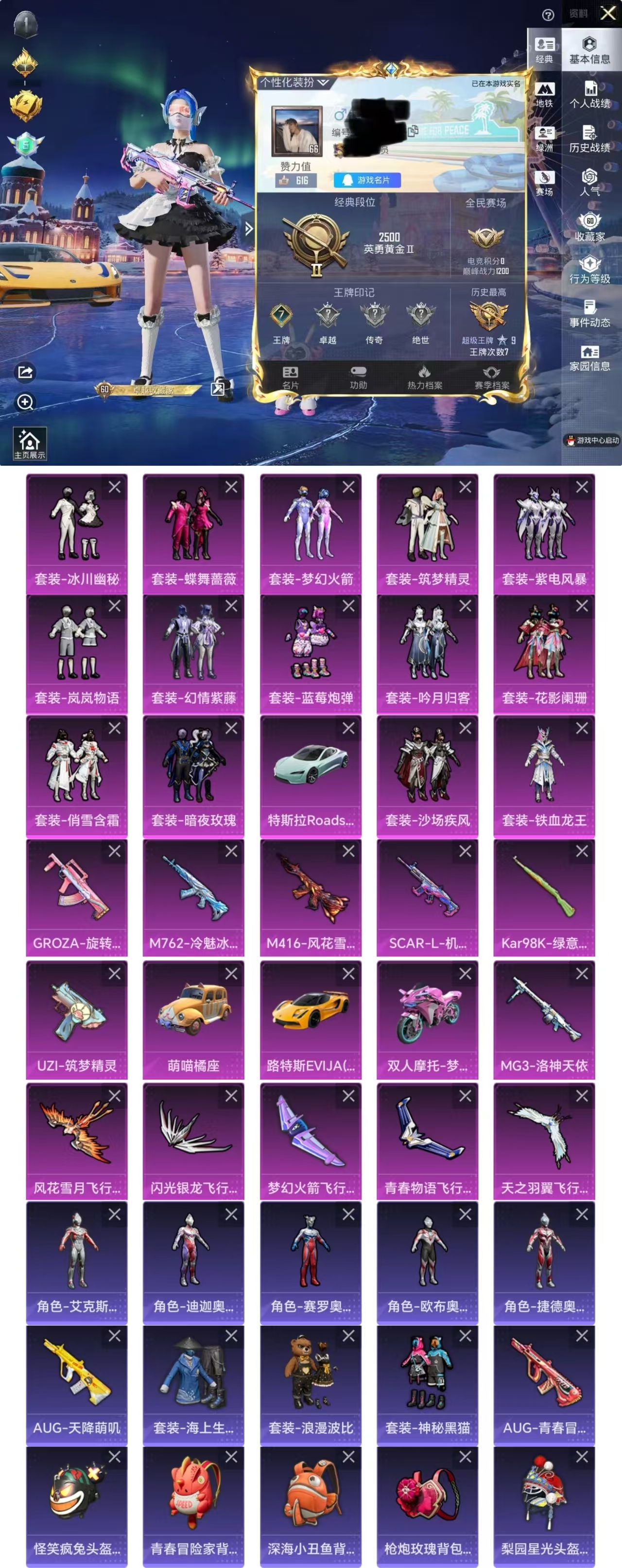 和平精英账号苹果QQ4载具-135套装-145枪皮-DYH17840【4载具14粉装7特效枪 梦幻火箭】苹果Q-4载具1