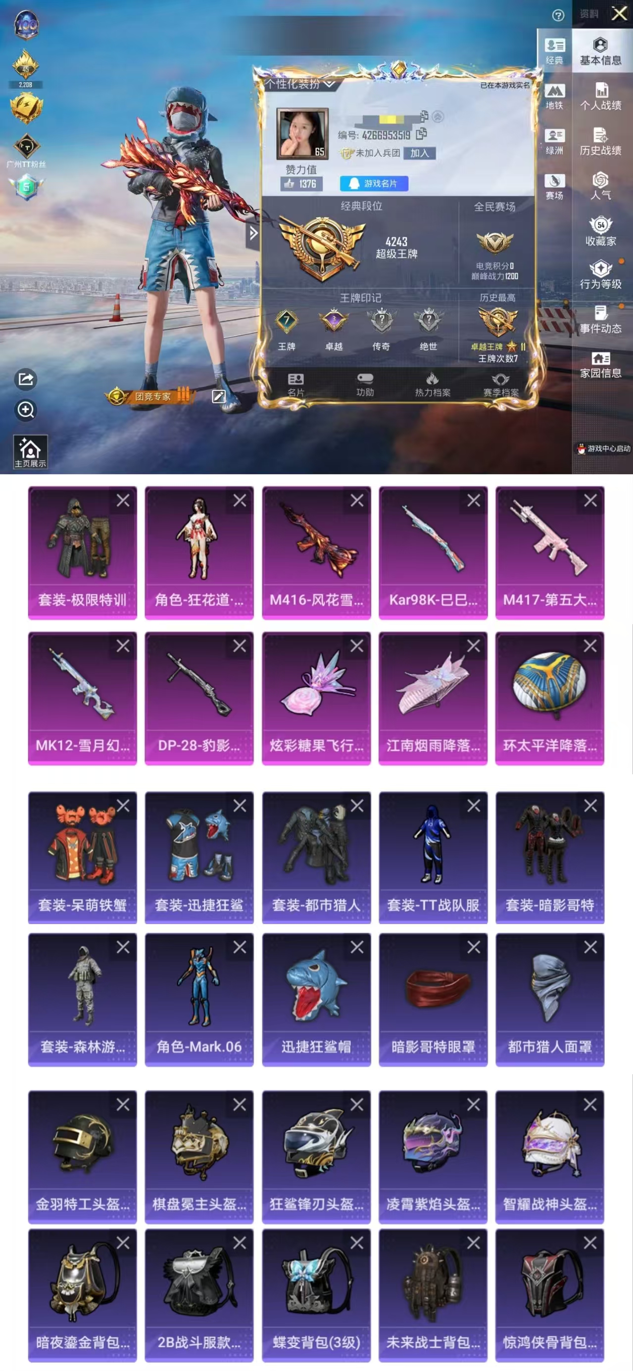 和平精英账号苹果QQ0载具-110套装-161枪皮-DYH17843+【2粉装5特效 风花雪月 都市猎人 红眼罩 蓝螳螂