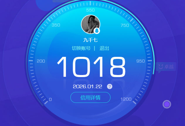 WZQM483071王者荣耀账号详情图9