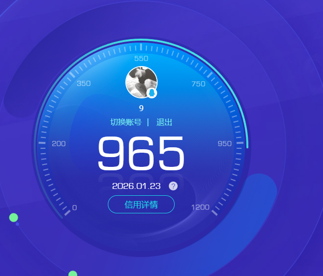 WZQM496757王者荣耀账号详情图9