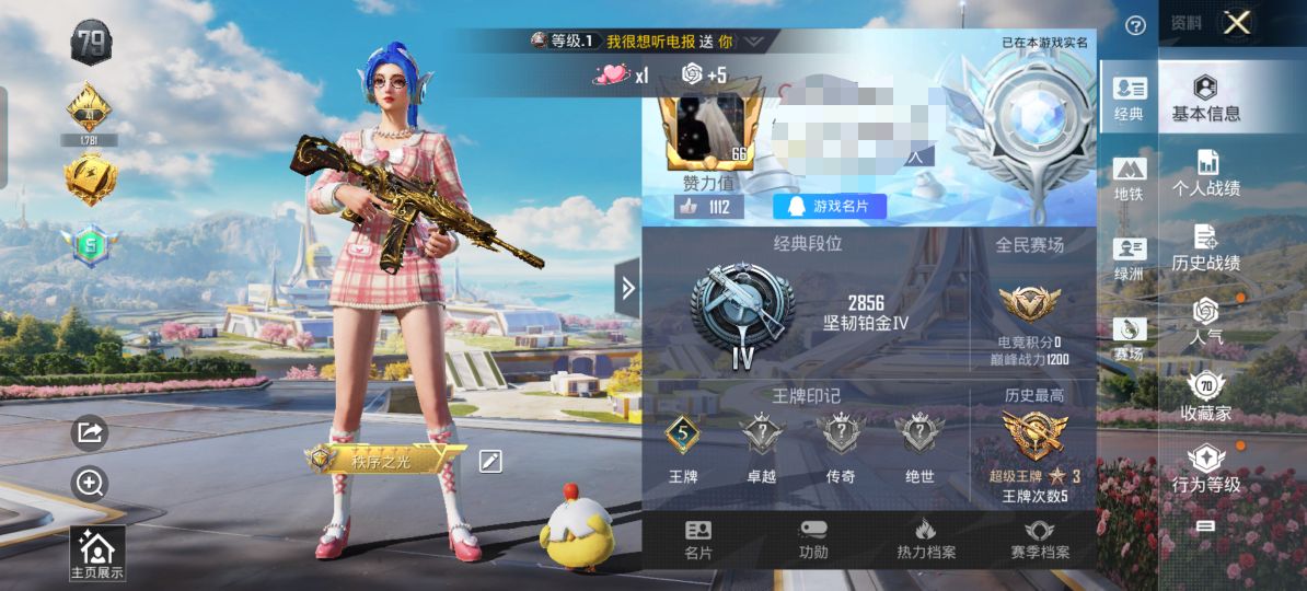 WZQM3350452王者荣耀账号详情图9