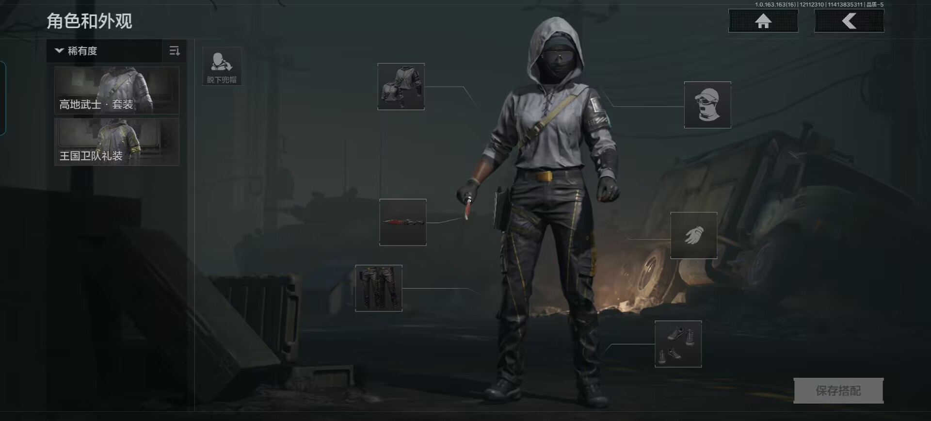 AQQM317271暗区突围账号详情图11