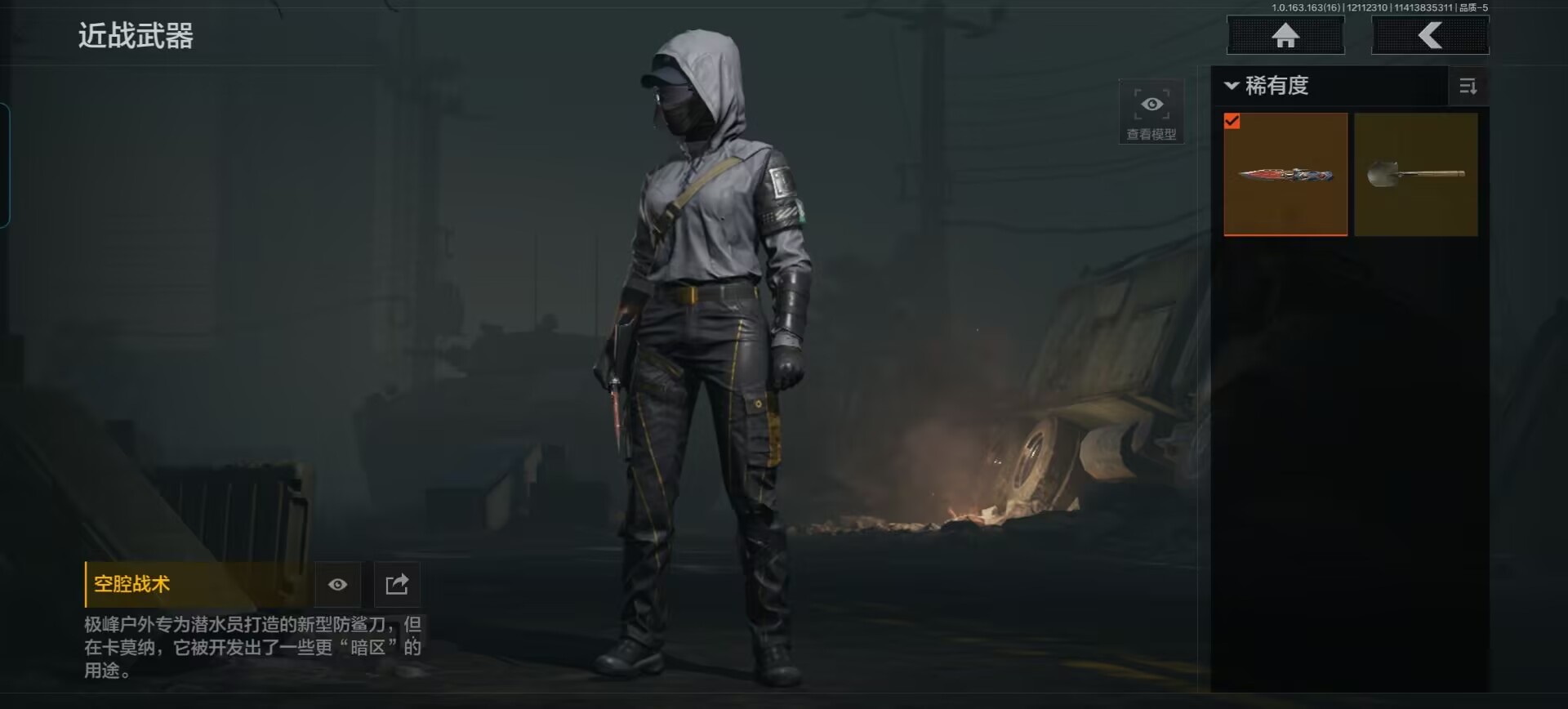 AQQM317271暗区突围账号详情图12