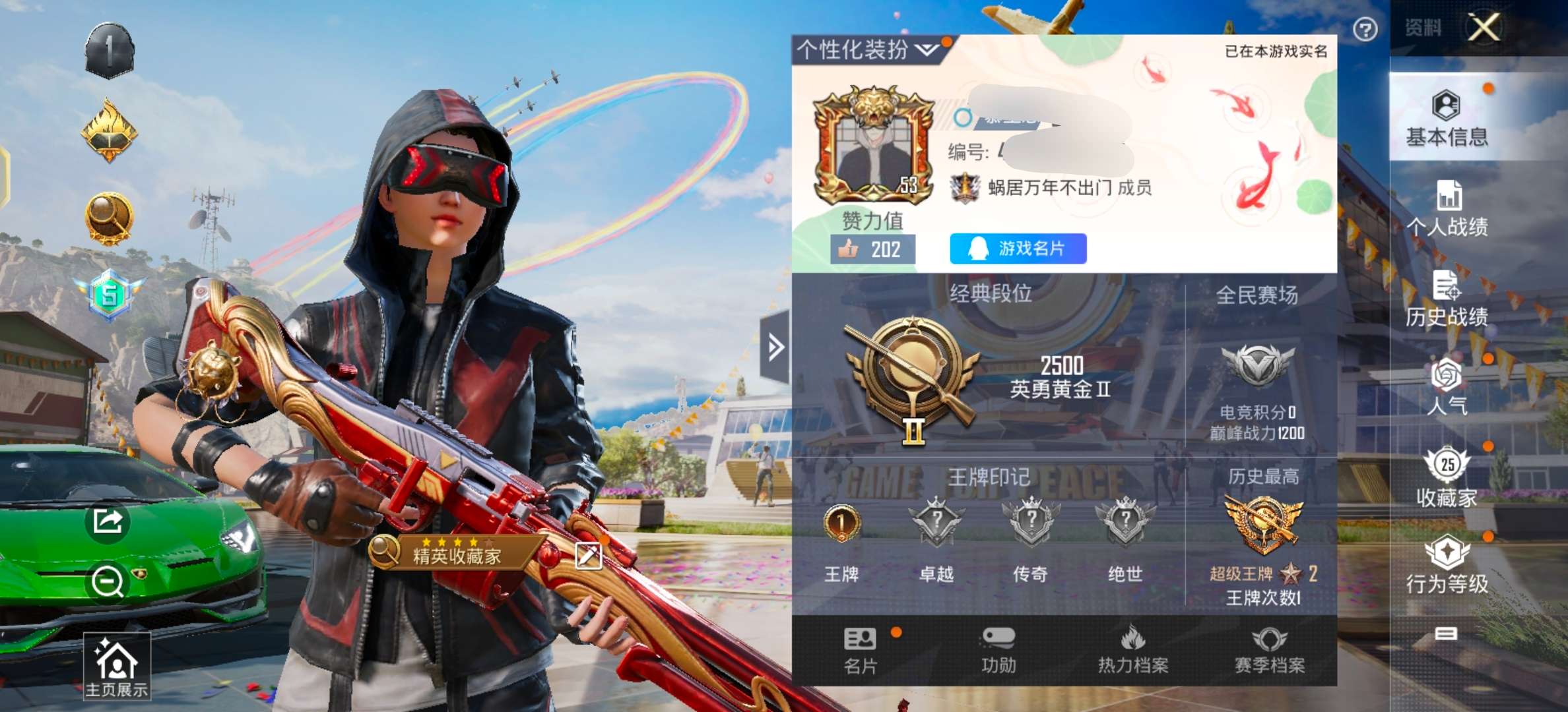 HPQM398947和平精英账号详情图1