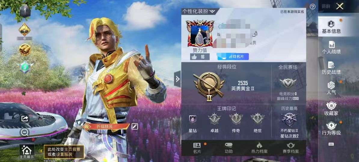 HPQM3300187和平精英账号详情图2
