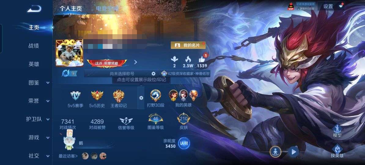 WZQM3226939王者荣耀账号详情图2 WZQM3226939王者荣耀账号详情图2