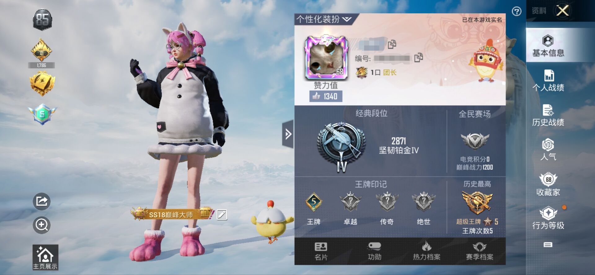 和平精英账号安卓QQM102249【素材号绝版!6粉装3特效枪 萌神柯基 浪漫天命 仓鼠灰灰 雪山精英 潮萌小黄鸭 爱崽