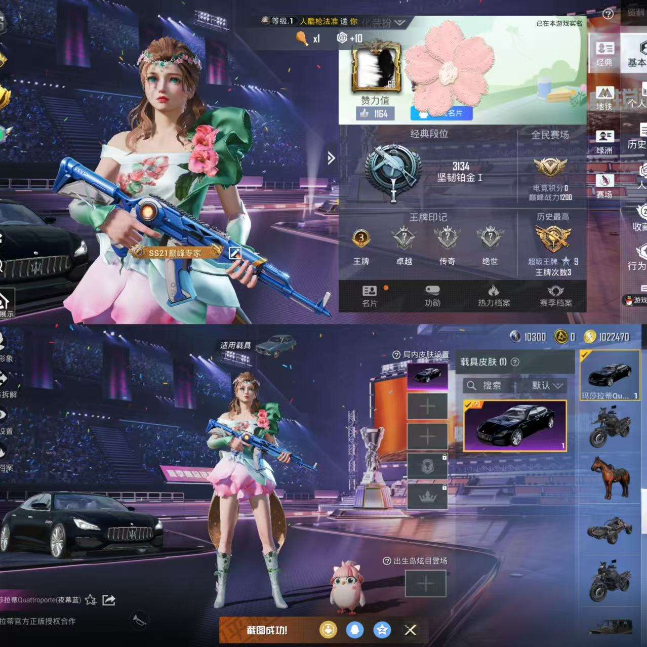 HPCMW3337946和平精英账号详情图2