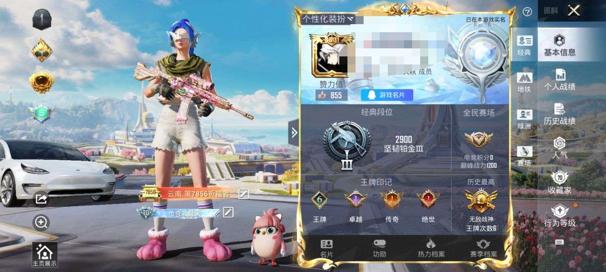 HPQM3339770和平精英账号详情图2