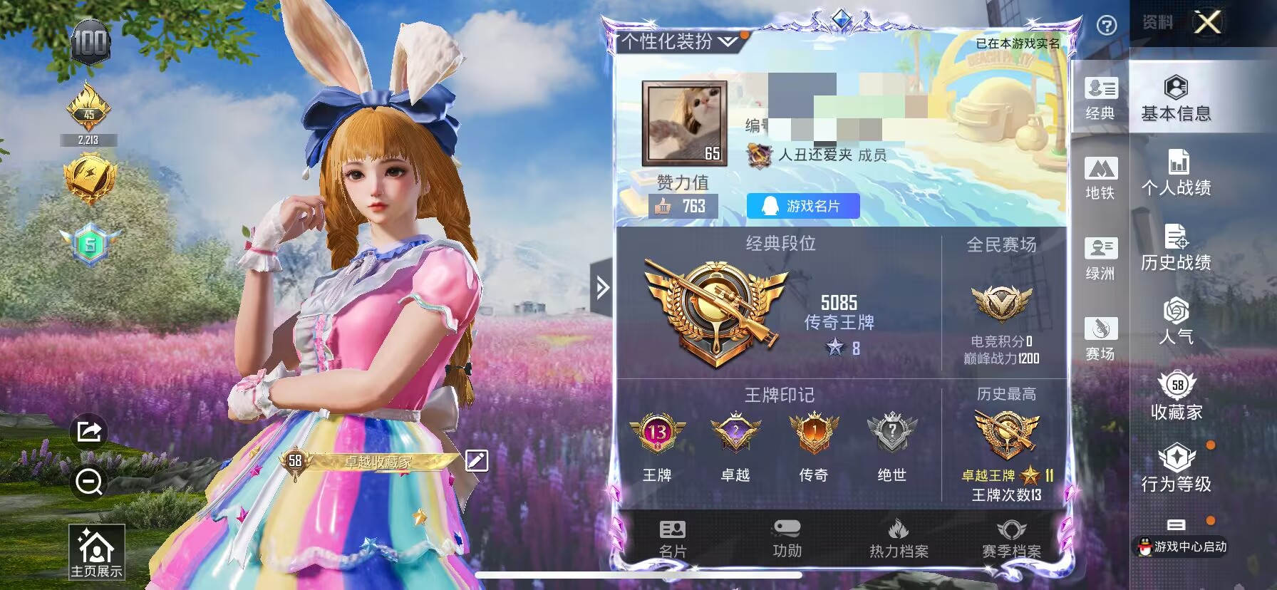 和平精英账号苹果QQ0载具-135套装-178枪皮-WJ615【5粉装3特效枪】苹果Q-5粉装3特效枪8热门135套装1