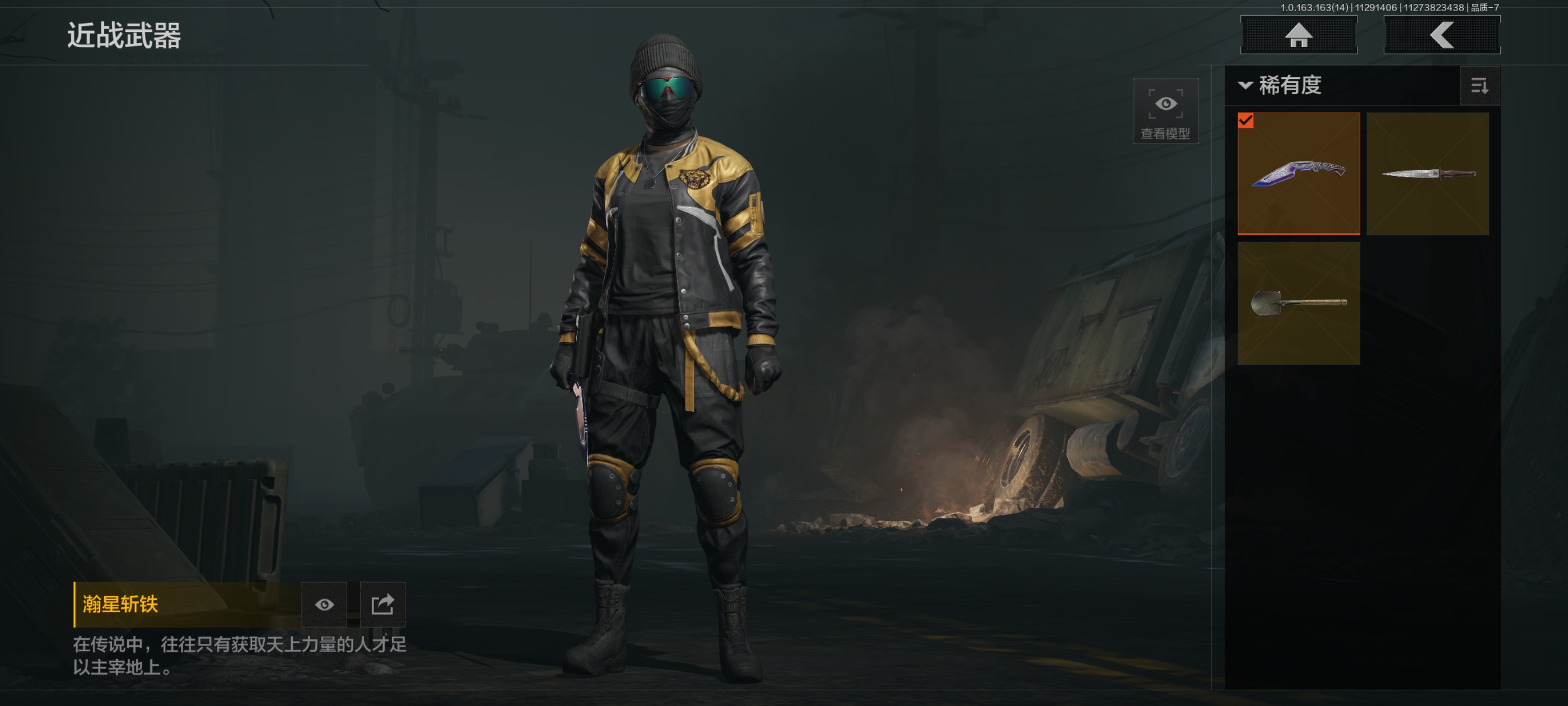 AQQM315050暗区突围账号详情图3