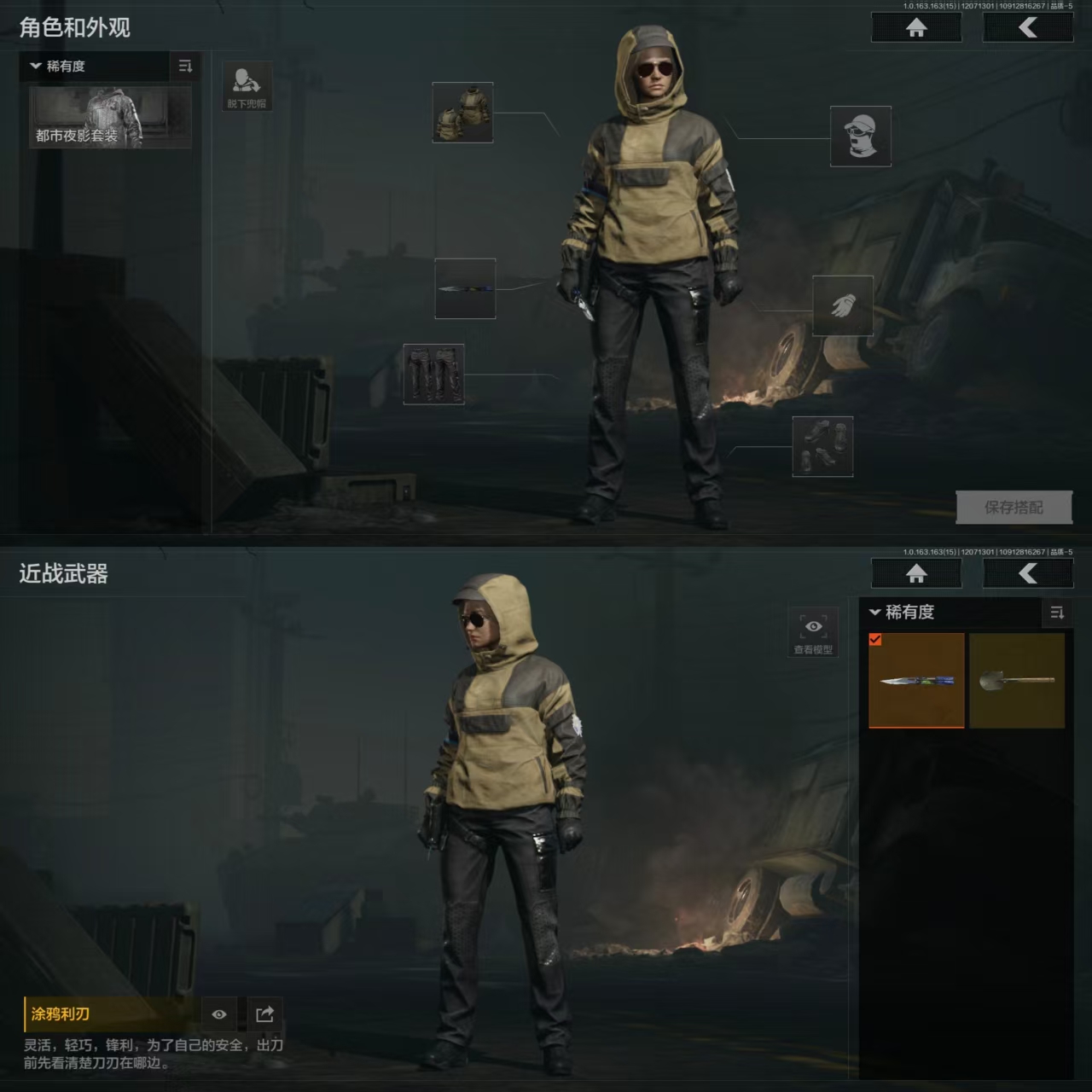 AQQM316613暗区突围账号详情图8