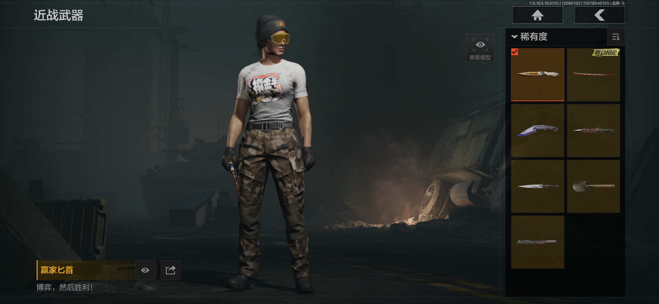 AQQM316712暗区突围账号详情图7