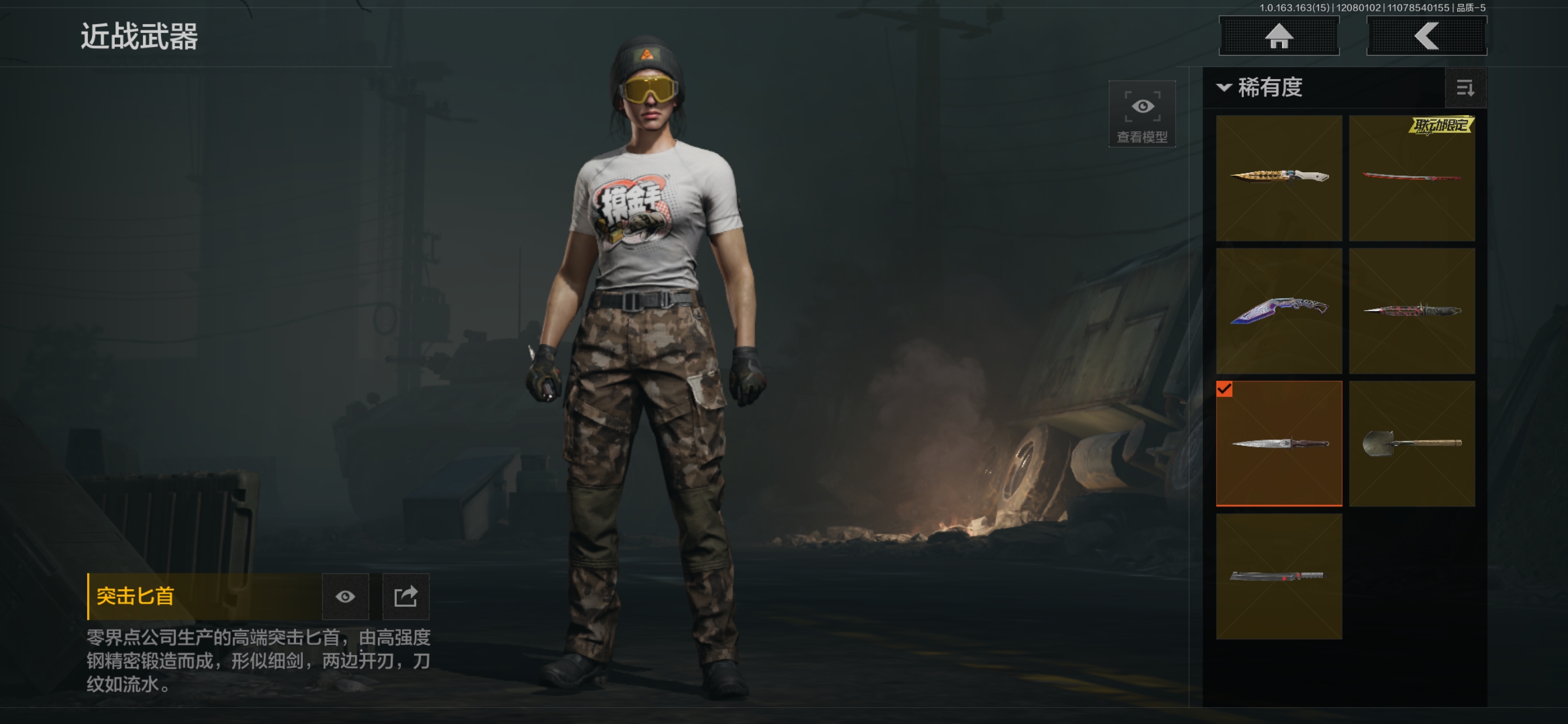 AQQM316712暗区突围账号详情图10