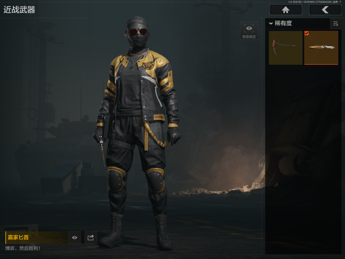 AQCMW46151暗区突围账号详情图6