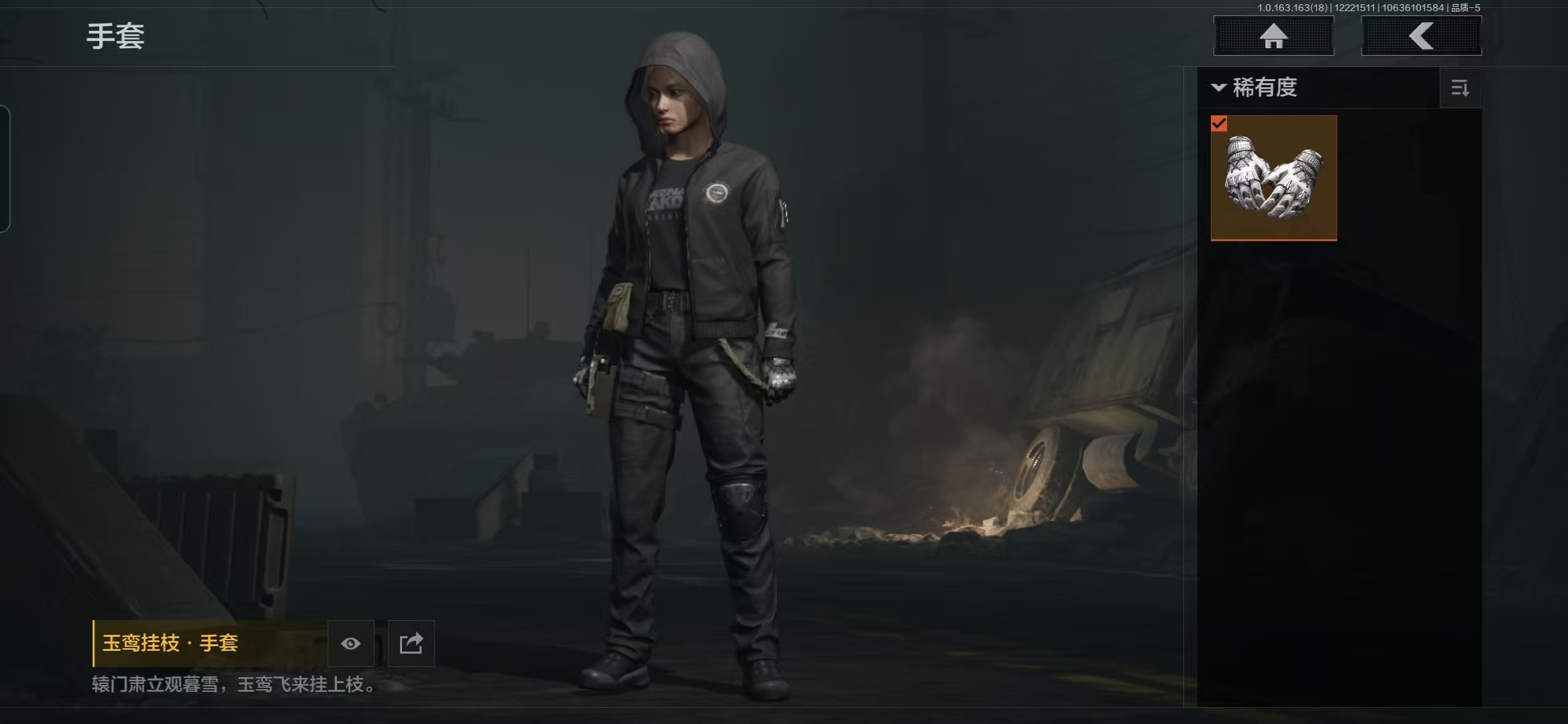 AQQM320368暗区突围账号详情图3