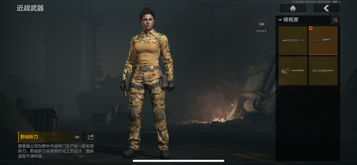 AQQM320629暗区突围账号详情图3