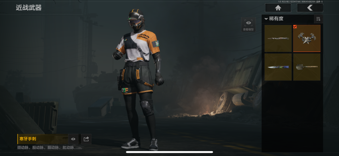 AQQM320704暗区突围账号详情图3