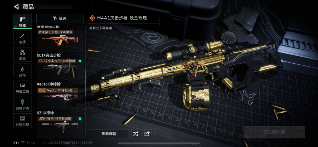 SJZCMW3100329三角洲行动账号详情图12