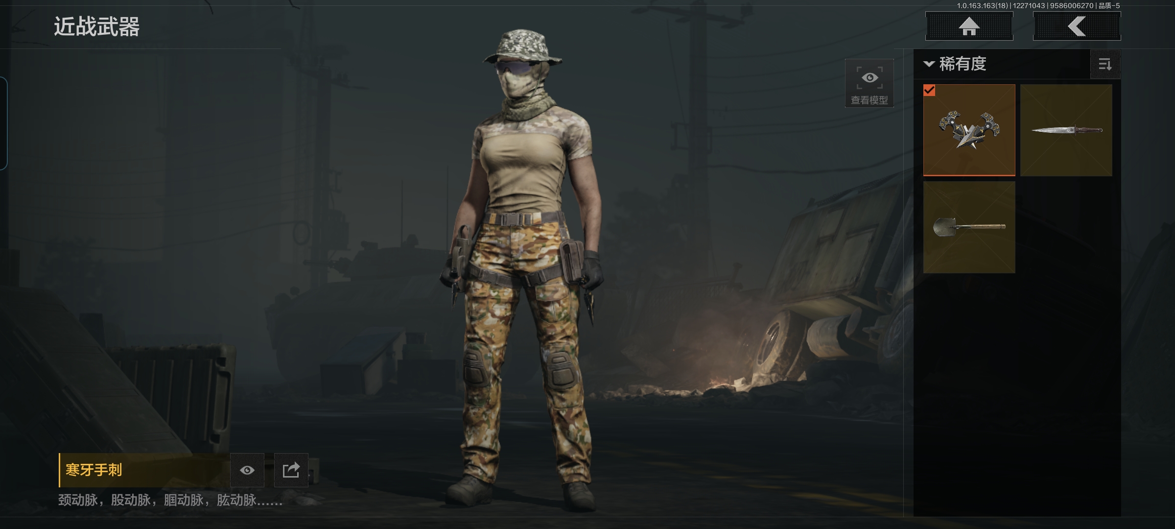 AQQM321253暗区突围账号详情图6