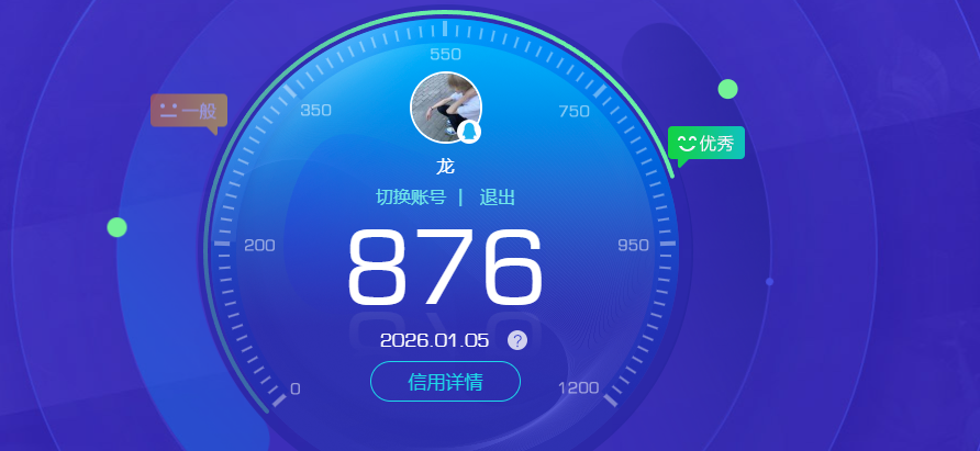 WZQM423419王者荣耀账号详情图13