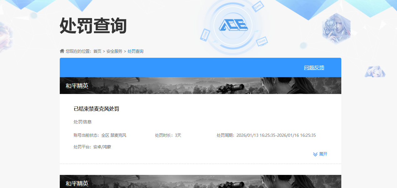 WZQM478891王者荣耀账号详情图10