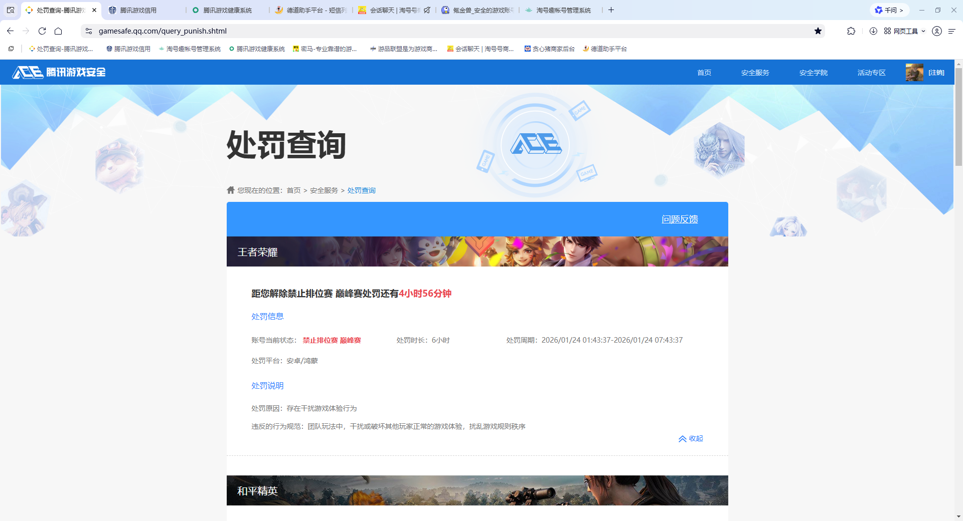 WZQM482107王者荣耀账号详情图18