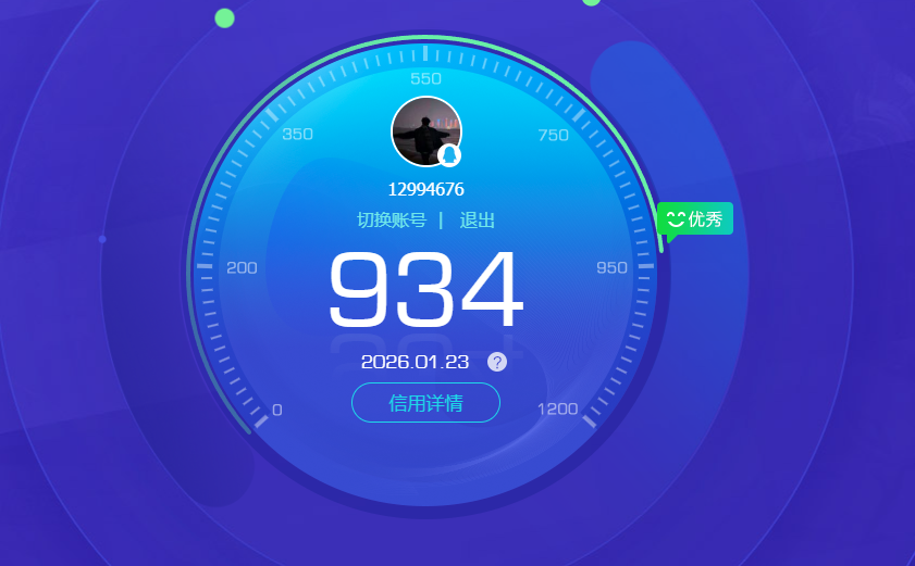 WZQM484860王者荣耀账号详情图14