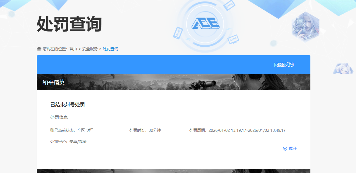 WZQM490431王者荣耀账号详情图8