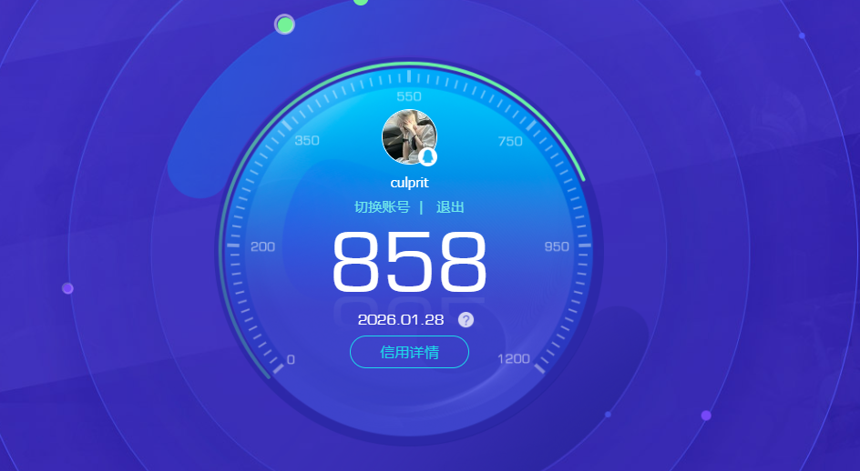 WZQM498921王者荣耀账号详情图13