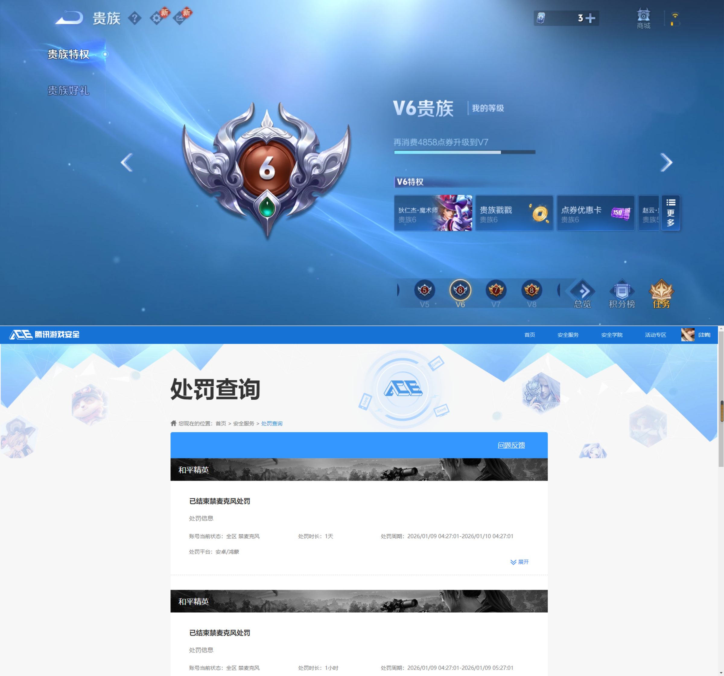 WZQM4223304王者荣耀账号详情图10