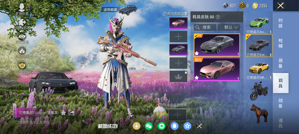 HPQM4118369和平精英账号详情图11