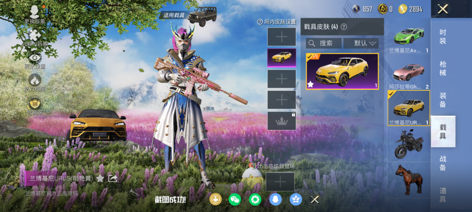 HPQM4118369和平精英账号详情图9