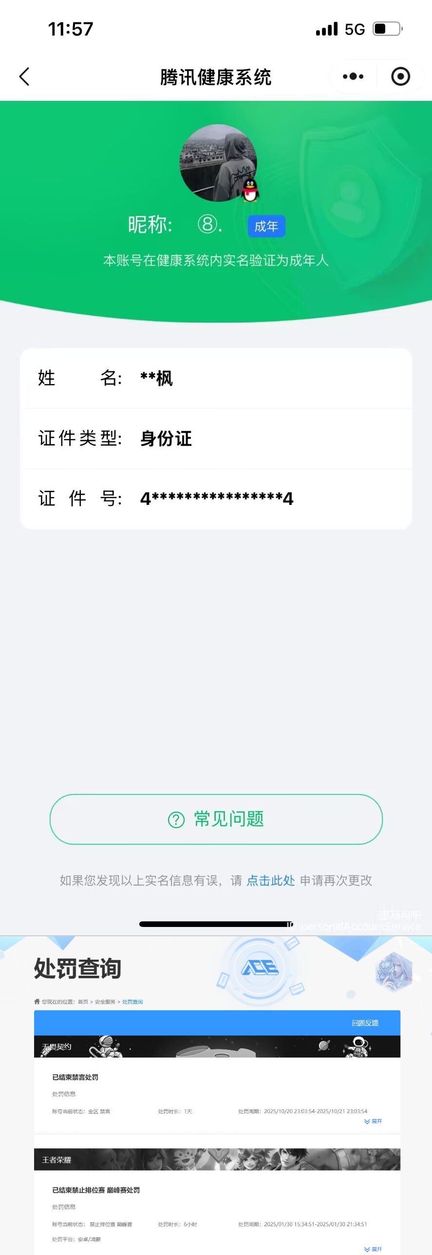 WZCMW4273473王者荣耀账号详情图9