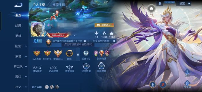 王者荣耀账号安卓QQ195皮肤 典藏1传说10 珍品传说1 星传说2寅虎焰心 幽冥之眼 至尊宝