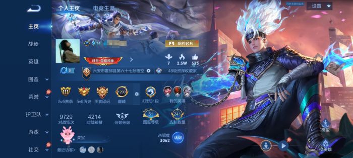 王者荣耀账号安卓QQWLWZ1230【v8 英雄129 皮肤241 传说13 典藏1 星元2】安卓Q-241皮肤-129