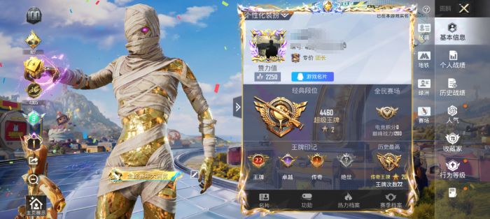 和平精英账号安卓QQ0载具-216套装-309枪皮-WJ913+安卓手Q-1神装-4粉装-8特效枪-216套装-309枪皮-22王牌印记-超级王牌2