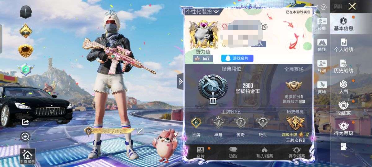 HPQM4243370和平精英账号详情图2