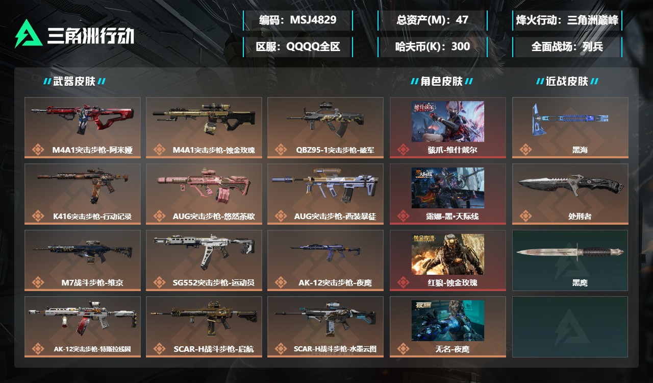 三角洲行动账号QQMSJ4829【精品猛攻号 维什戴尔 铁面判官 天际线 蚀金玫瑰 黑海 处刑者】【总资产(M)】47