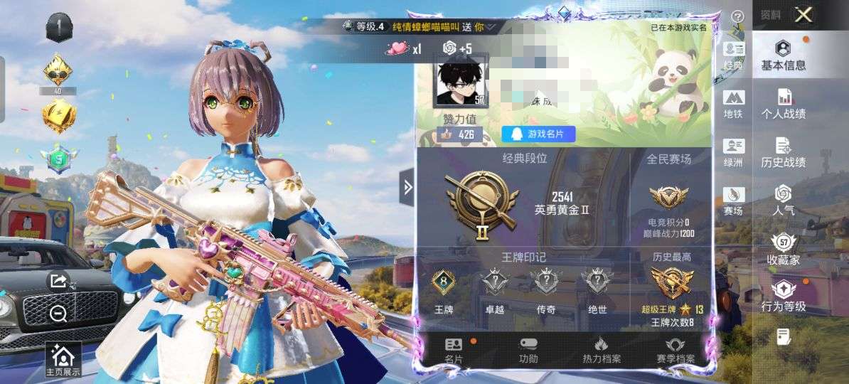 账号详情图片
