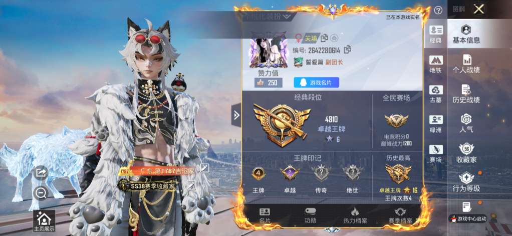 账号详情图片