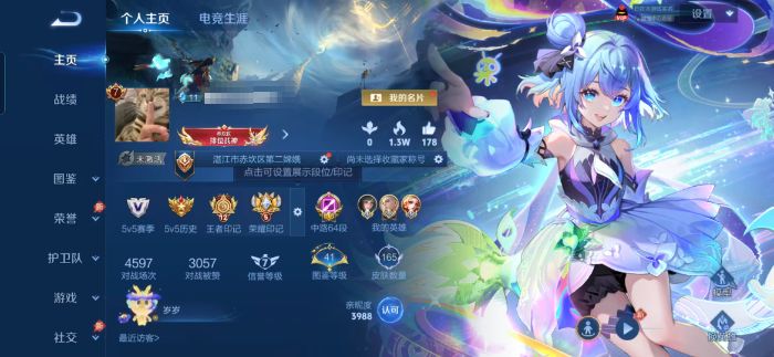 王者荣耀账号安卓QQ127英雄-165皮肤-2无双-1珍品-15传说 8小国标 大国标金