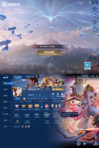 WZCMW4357668王者荣耀账号详情图2