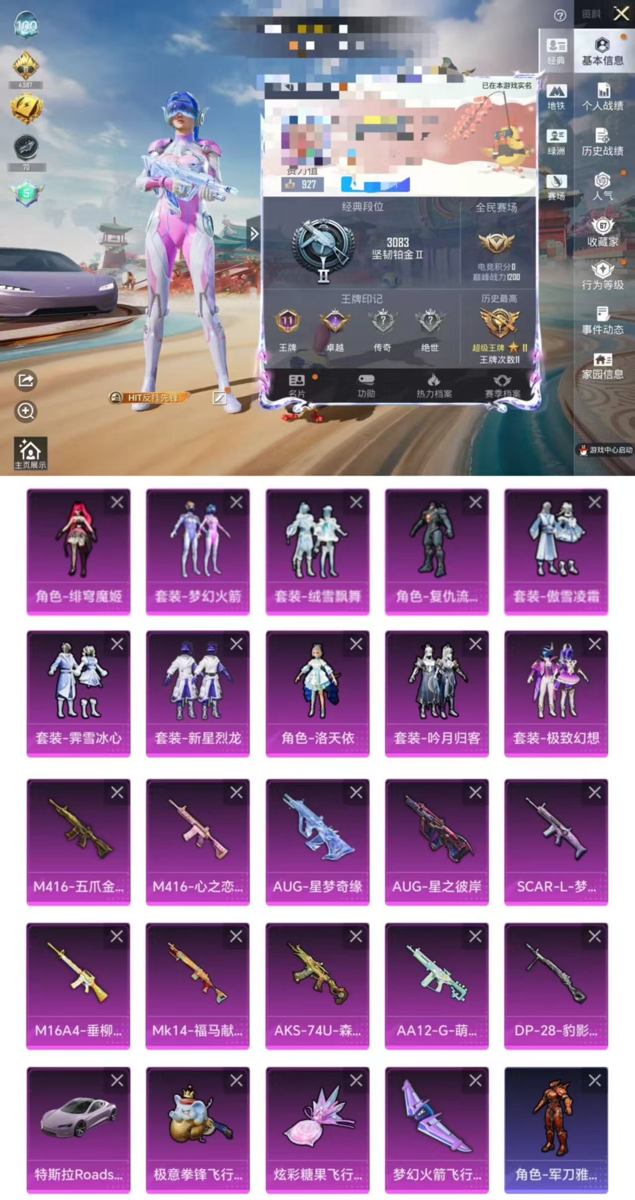 和平精英账号苹果QQDYH18040【AUG-星梦奇缘[3级]1载具-10粉装-10特效枪 AUG-星之彼岸[7级] 五