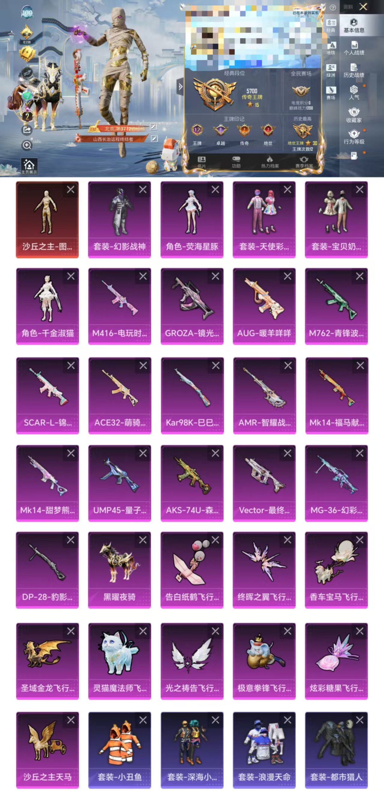 和平精英账号安卓QQDYH18049【2级图卡盟】无二次-安卓手Q-1载具-1神装-5粉装-15特效枪-142套装-21