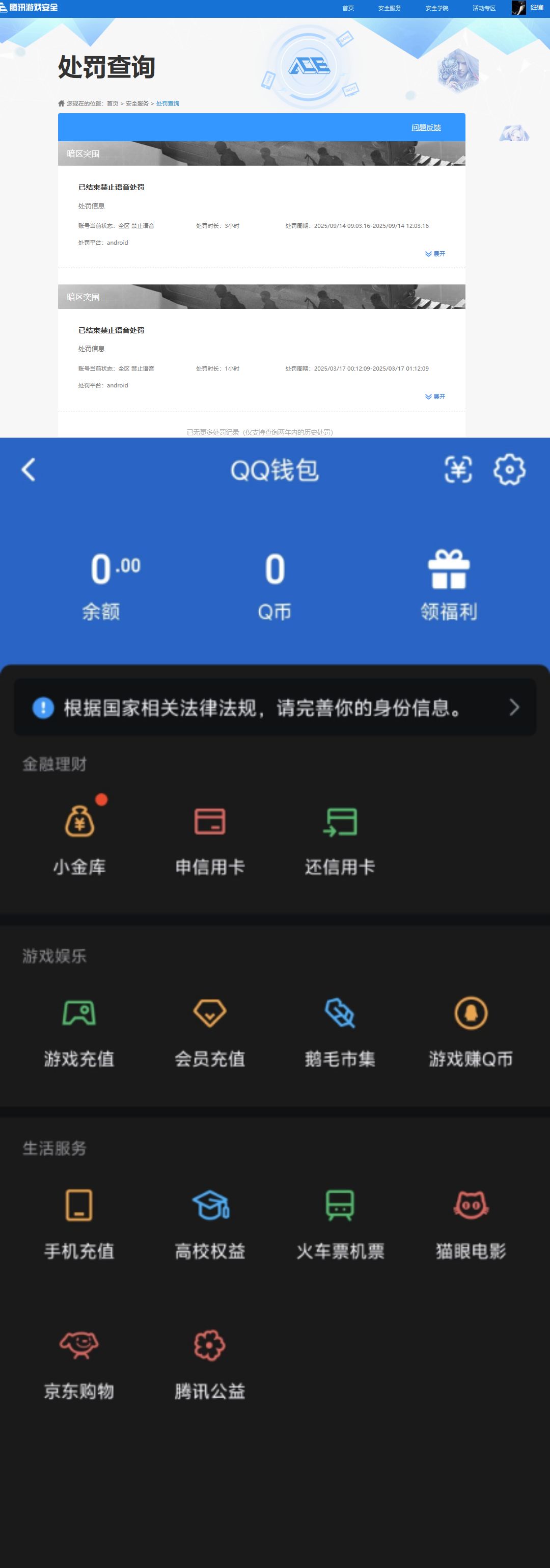 AQQM417325暗区突围账号详情图11