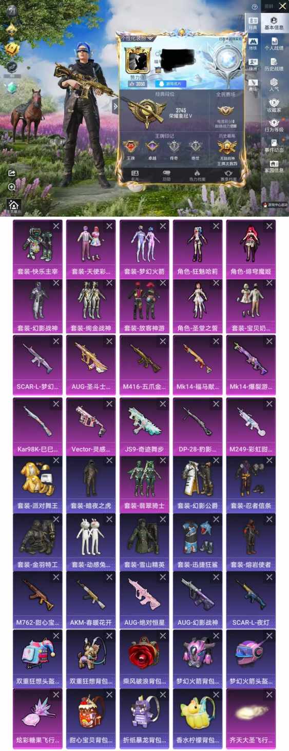 和平精英账号苹果QQDYH18119【男神素材身法号25高印记 11粉装-10特效枪 暗夜之虎 梦幻火箭  派对舞王 M