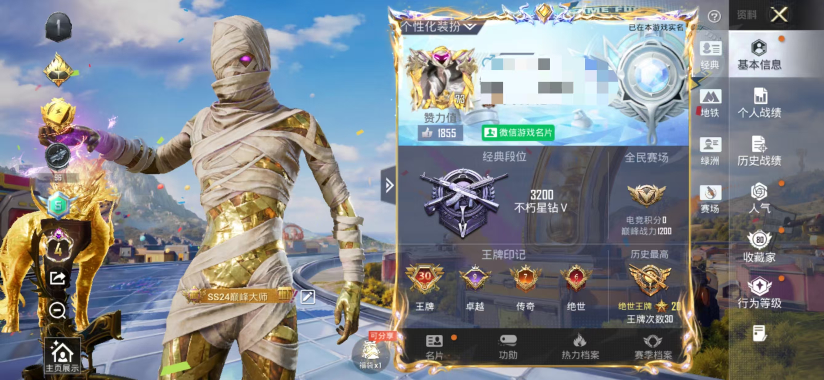 大图